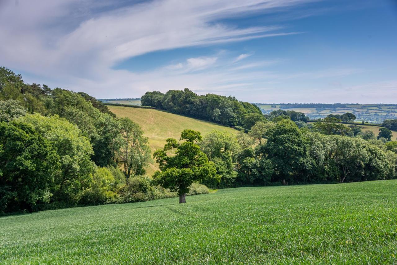 Valley Farm Holiday Cottages Axminster Extérieur photo